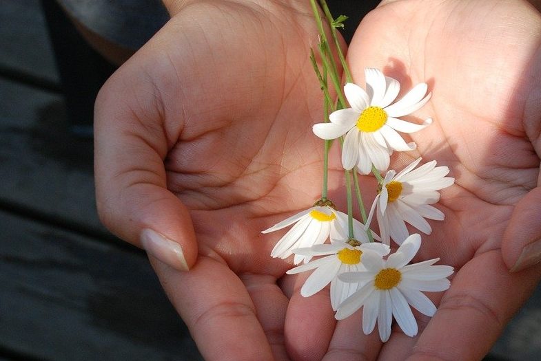 Holistic Approach to PTSD - Nervines