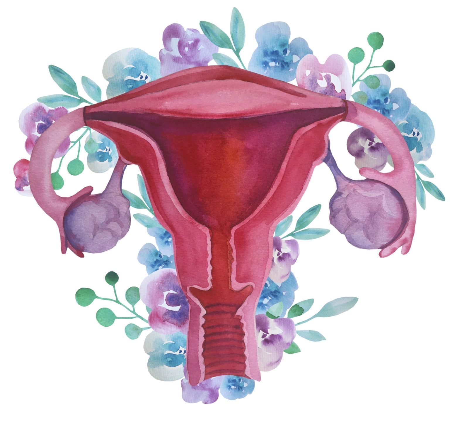 What is My Period Telling Me? - Colorado School of Clinical Herbalism