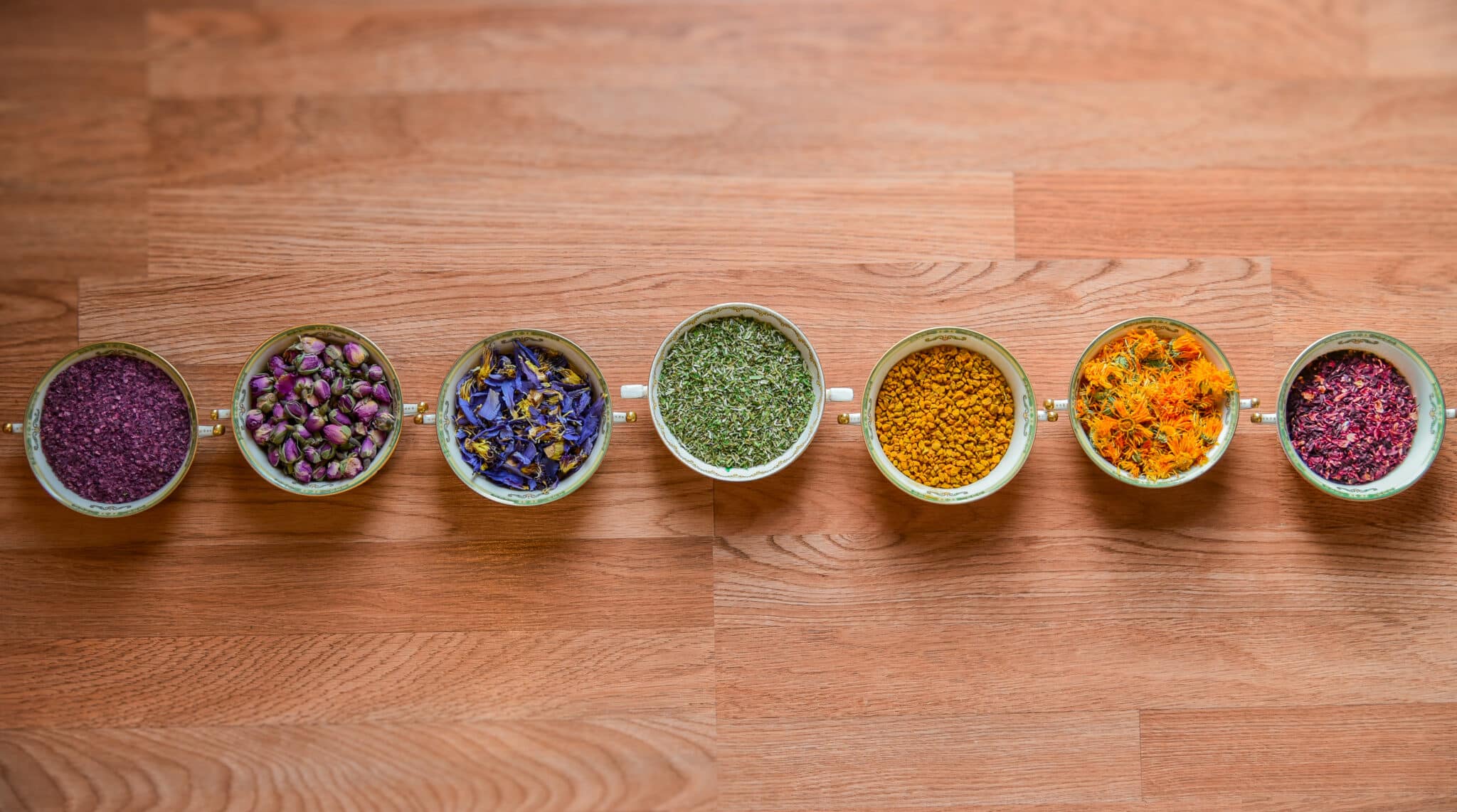 Herbalism Workshops | Colorado School of Clinical Herbalism