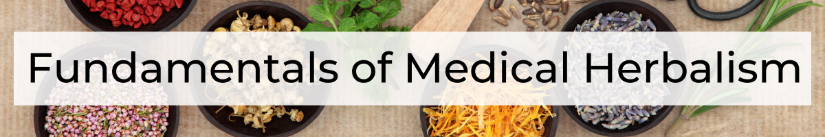 Clinical Herbalism School. Learn plant based medicine. Herbalist. Study to become an herbalist. Colorado School of clinical herbalism. Paul Bergner. Clinical herbalist. Vitalist Tradition.