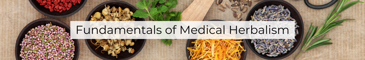 Fundamentals of medical herbalism classroom training