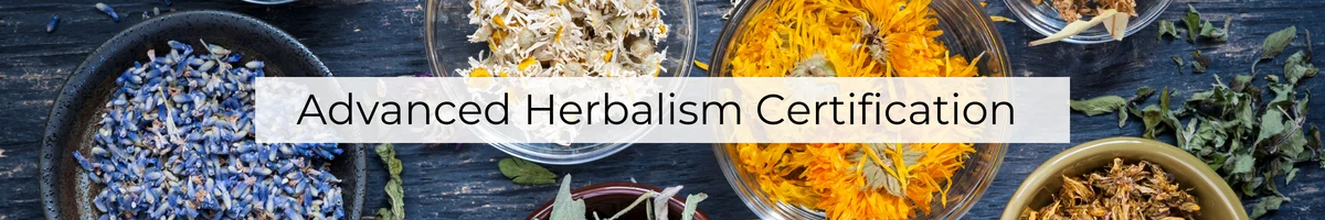 Advanced Herbalism Certificate. Advanced Herbalism Certification