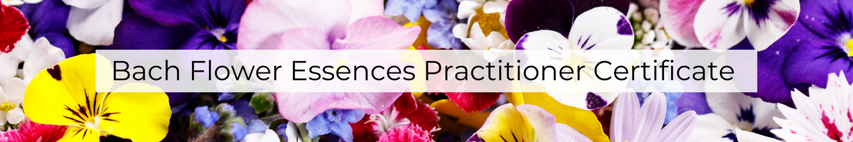 Bach flower essences practitioner certificate class. clinical herbalism